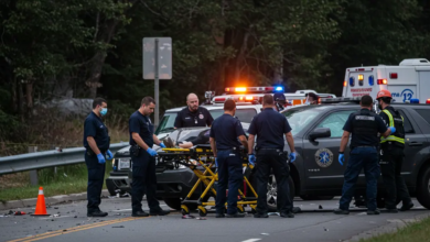 dan bongino wife accident